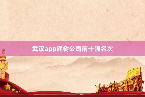 武汉app建树公司前十强名次