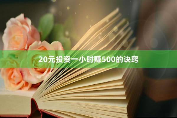 20元投资一小时赚500的诀窍