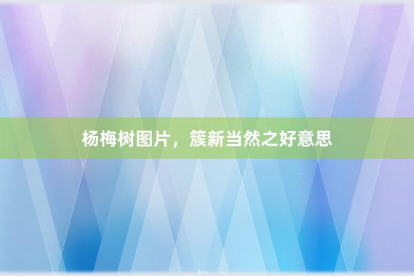 杨梅树图片，簇新当然之好意思